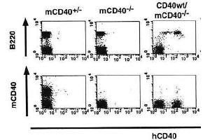 Flow Cytometry (FACS) image for anti-CD40 (CD40) (Extracellular Domain) antibody (ABIN2451933)