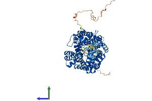 AlphaFold protein structure predicition of Human Recombinant SLC6A11 Protein, UniprotID P48066