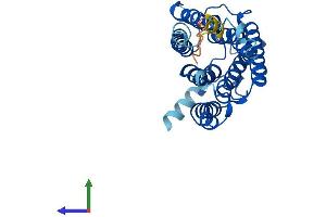 AlphaFold protein structure predicition of Mouse Recombinant Elovl1 Protein, UniprotID Q9JLJ5