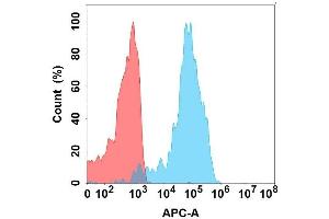 Flow cytometry analysis with Anti- on Expi293 cells transfected with human (Blue histogram) or Expi293 transfected with irrelevant protein (Red histogram).