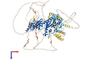 AlphaFold protein structure predicition of Human Recombinant SEC23IP Protein, UniprotID Q9Y6Y8