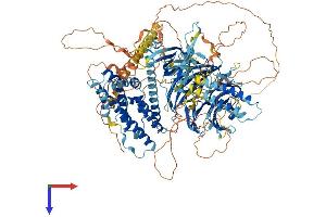 AlphaFold protein structure predicition of Human Recombinant ARHGEF10L Protein, UniprotID Q9HCE6