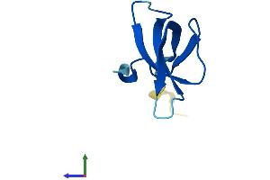 AlphaFold protein structure predicition of Mouse Recombinant Rps28 Protein, UniprotID P62858