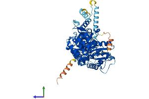 AlphaFold protein structure predicition of Human Recombinant VPS45 Protein, UniprotID Q9NRW7