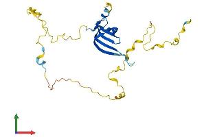 AlphaFold protein structure predicition of Mouse Recombinant Snrpn Protein, UniprotID P63163