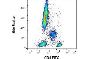 Flow cytometry surface staining pattern of human peripheral whole blood stained using anti-human CD4 (MEM-241) FITC (20 μL reagent / 100 μL of peripheral whole blood).