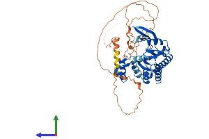 AlphaFold protein structure predicition of Human Recombinant ITPKA Protein, UniprotID P23677