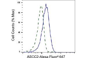 Validation of ASCC2 knockdown using flow cytometry. (ASCC2 anticorps)