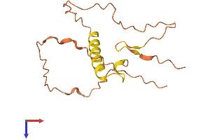 ZNF295 Antisense RNA 1 (ZNF295-AS1) (AA 1-137) protein (His tag)