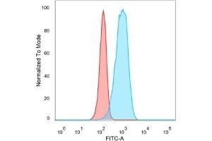 Flow Cytometric Analysis of PFA-fixed HeLa cells. (CELF2 anticorps)