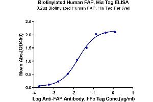 Immobilized Biotinylated Human FAP, His Tag at 2 μg/mL (100 μL/Well) on the plate.