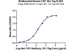 Immobilized Biotinylated Human FAP, His Tag at 2 μg/mL (100 μL/Well) on the plate. (FAP Protein (His-Avi Tag,Biotin))