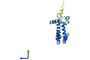 AlphaFold protein structure predicition of Mouse Recombinant Rabac1 Protein, UniprotID Q9Z0S9