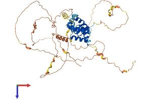 AlphaFold protein structure predicition of Human Recombinant POU3F3 Protein, UniprotID P20264