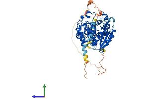 AlphaFold protein structure predicition of Human Recombinant GXYLT2 Protein, UniprotID A0PJZ3