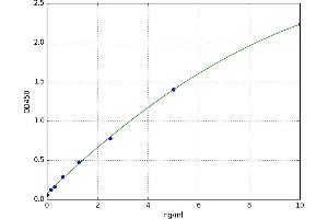 A typical standard curve