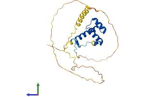 AlphaFold protein structure predicition of Mouse Recombinant Hoxa7 Protein, UniprotID P02830