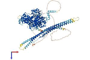 AlphaFold protein structure predicition of Mouse Recombinant Plcb1 Protein, UniprotID Q9Z1B3