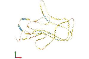 AlphaFold protein structure predicition of Human Recombinant COL25A1 Protein, UniprotID Q9BXS0