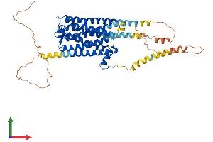 AlphaFold protein structure predicition of Human Recombinant HTR2A Protein, UniprotID P28223