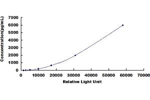 ELISA image for Nerve Growth Factor (NGF) CLIA Kit (ABIN491811)