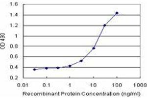 Sandwich ELISA detection sensitivity ranging from 1 ng/mL to 100 ng/mL. (ORC6L (Humain) Matched Antibody Pair)