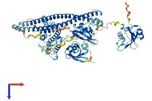AlphaFold protein structure predicition of Human Recombinant PIK3R2 Protein, UniprotID O00459