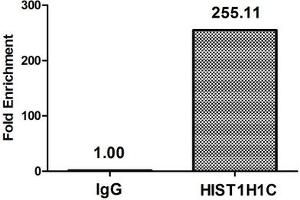 Chromatin Immunoprecipitation Hela (4*10 6 , treated with 30 mM sodium butyrate for 4h) were treated with Micrococcal Nuclease, sonicated, and immunoprecipitated with 8 μg anti-HIST1H1C (ABIN7139207) or a control normal rabbit IgG. (HIST1H1C anticorps  (acLys96))