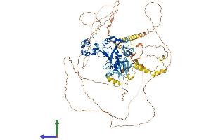 AlphaFold protein structure predicition of Mouse Recombinant Oxr1 Protein, UniprotID Q4KMM3