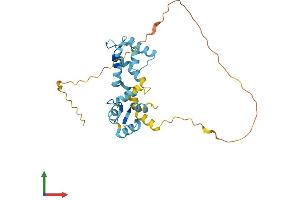 AlphaFold protein structure predicition of Mouse Recombinant Cabp4 Protein, UniprotID Q8VHC5