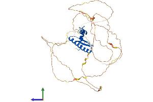 AlphaFold protein structure predicition of Mouse Recombinant Mef2a Protein, UniprotID Q60929
