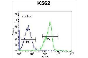 ZN Antibody (N-term) (ABIN656322 and ABIN2845621) flow cytometric analysis of K562 cells (right histogram) compared to a negative control cell (left histogram). (ZNF146 anticorps  (N-Term))