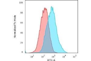 Flow Cytometric Analysis of PFA-fixed MCF-7 cells using p27 Mouse Monoclonal Antibody (SX53G8) followed by Goat anti- Mouse- IgG-CF488 (Blue); Isotype Control (Red). (CDKN1B anticorps)