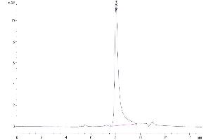 The purity of Human OSM is greater than 95 % as determined by SEC-HPLC.