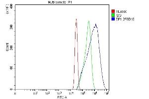Flow Cytometry analysis of A431 cells using anti-splicing factor 1 antibody (ABIN7600193). (Splicing Factor 1 anticorps  (AA 160-266))