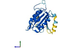 AlphaFold protein structure predicition of Human Recombinant SAR1A Protein, UniprotID Q9NR31