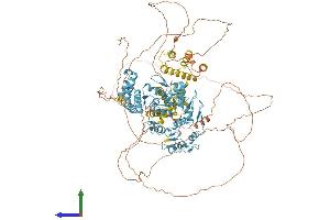 AlphaFold protein structure predicition of Human Recombinant ZSCAN20 Protein, UniprotID P17040