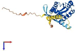 AlphaFold protein structure predicition of Mouse Recombinant Rasl11a Protein, UniprotID Q6IMB1