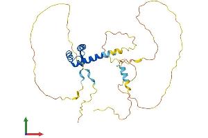 AlphaFold protein structure predicition of Human Recombinant PITX1 Protein, UniprotID P78337