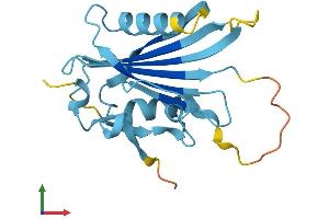 AlphaFold protein structure predicition of Human Recombinant RANGRF Protein, UniprotID Q9HD47