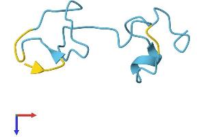 AlphaFold protein structure predicition of Human Recombinant MT1L Protein, UniprotID Q93083