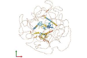 AlphaFold protein structure predicition of Human Recombinant MBD5 Protein, UniprotID Q9P267