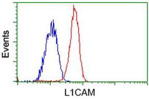 Flow cytometric Analysis of Jurkat cells, using anti-L1CAM antibody (ABIN2453219), (Red), compared to a nonspecific negative control antibody (ABIN2453219), (Blue). (L1CAM anticorps)