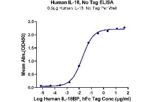 Immobilized Human IL-18 at 5 μg/mL (100 μL/Well) on the plate. (IL-18 Protein (AA 37-193))
