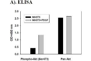 Image no. 2 for V-Akt Murine Thymoma Viral Oncogene Homolog 1 (AKT1) ELISA Kit (ABIN1981734) (AKT1 Kit ELISA)