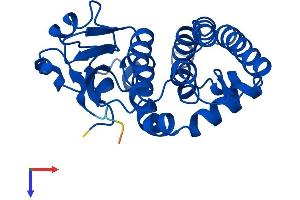 AlphaFold protein structure predicition of Human Recombinant GSTO2 Protein, UniprotID Q9H4Y5