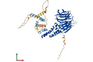 AlphaFold protein structure predicition of Human Recombinant BTRC Protein, UniprotID Q9Y297