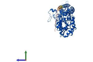 AlphaFold protein structure predicition of Mouse Recombinant Sepsecs Protein, UniprotID Q6P6M7