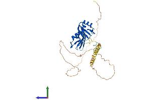AlphaFold protein structure predicition of Mouse Recombinant Rbm4 Protein, UniprotID Q8C7Q4