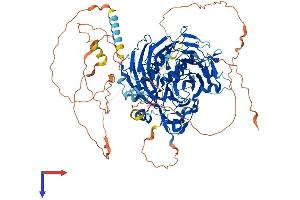 AlphaFold protein structure predicition of Human Recombinant GTF3C2 Protein, UniprotID Q8WUA4